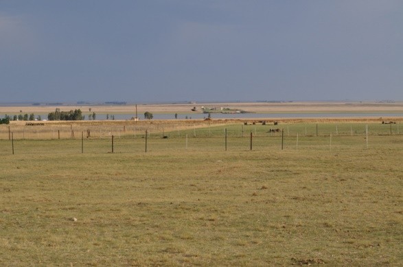 3 Bedroom Property for Sale in Lake Deneysville AH Free State